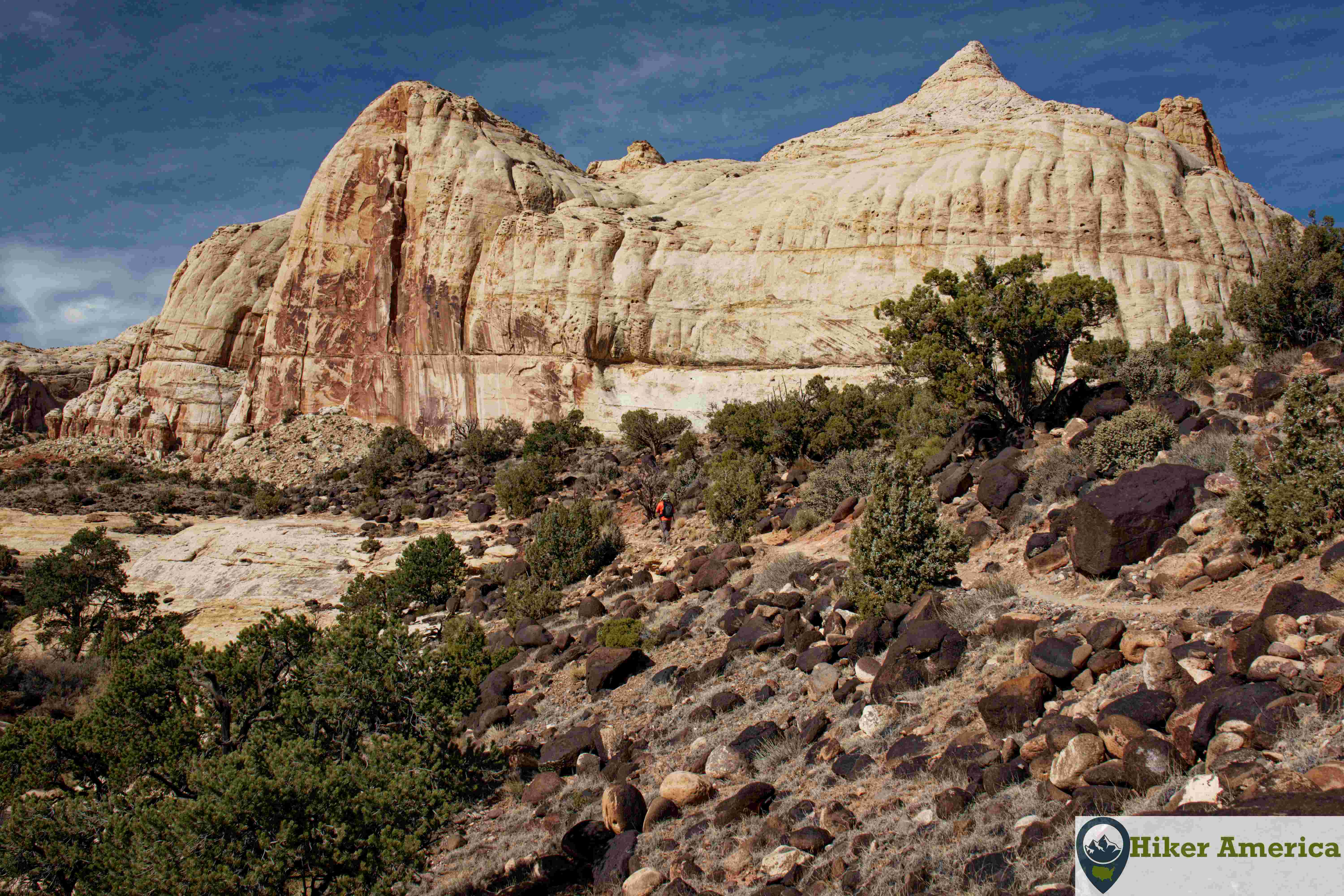 Rim Overlook/Navajo Knobs hiking trail view